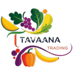 logo tavaana trading llc