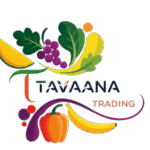 logo tavaana trading llc removebg preview