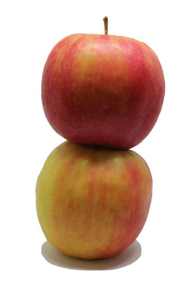 apple, fruit, food, fresh, healthy, nutrition, natural, red, harvest, eat, freshness, delicious, juicy